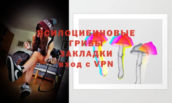 spice Алексеевка