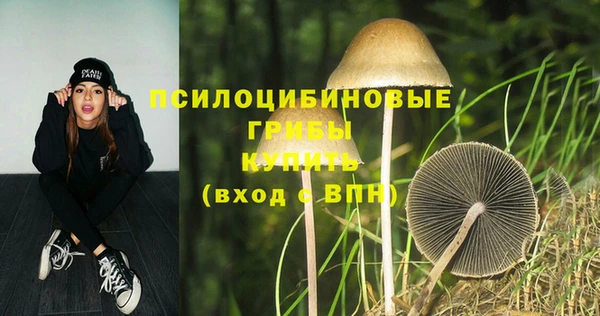 соль курить ск Алзамай