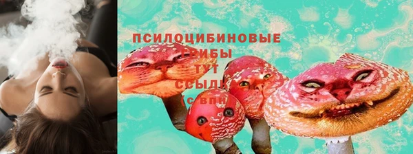 spice Алексеевка