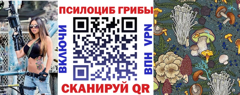 Псилоцибиновые грибы мицелий  дарнет шоп  Камышлов 
